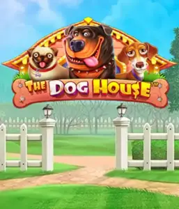 Pragmatic Play's The Dog House, featuring a fun-filled adventure among lovable dogs. Engage in gameplay elements such as multipliers, perfect for providing exciting wins. Perfect for those who enjoy a lighthearted setting and the opportunity to win big.