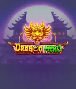 Enter a mythical quest with the Dragon Hero game by Pragmatic Play, showcasing stunning graphics of mighty dragons and epic encounters. Venture into a realm where magic meets excitement, with symbols like enchanted weapons, mystical creatures, and treasures for a thrilling adventure.